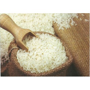 1- Hindistan Pirinci